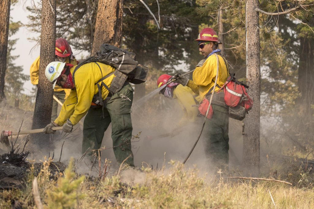 The photo shows wildland firefighters at a fire scene.
