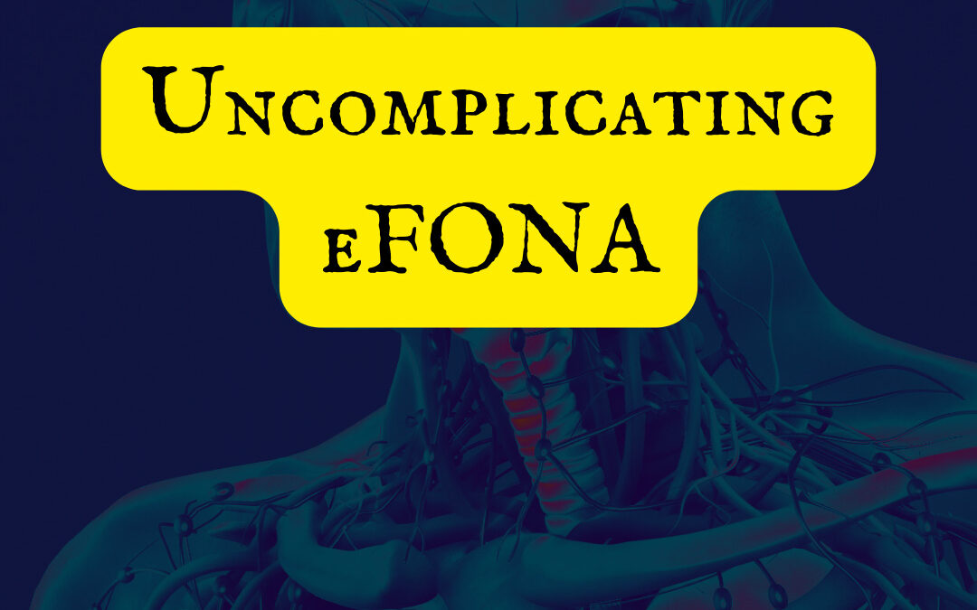 Simple, But Not Easy. eFONA 2024, Part 1