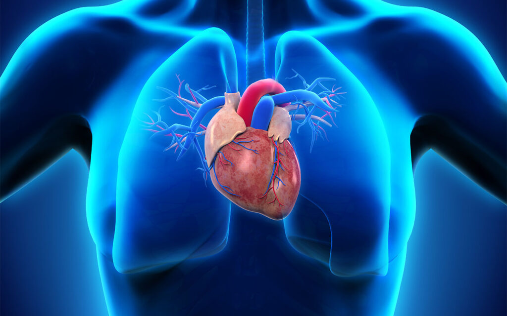 Human lungs anatomy on science background. 3d illustration