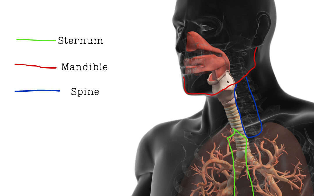 When a Fighter Chokes