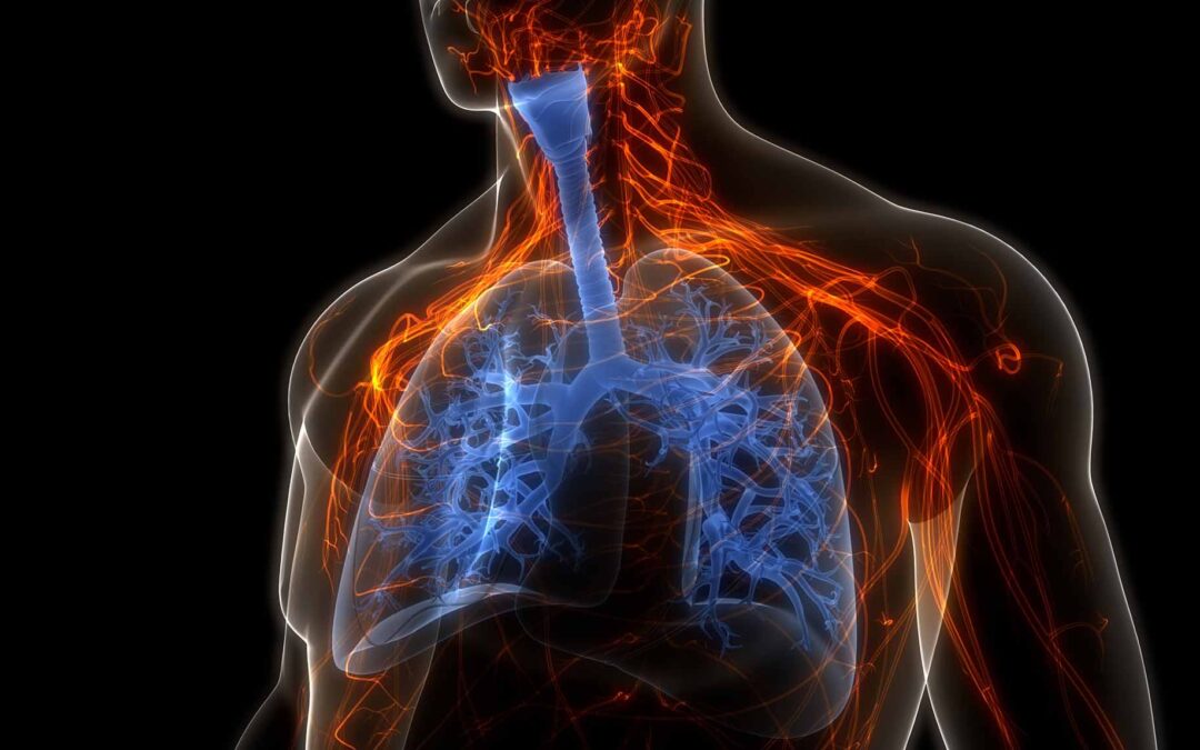 Signals and Noise: Vents and Obstructive Lung Disease – Part 2